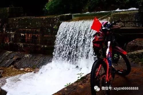 小猫钓鱼游戏龙王版有船