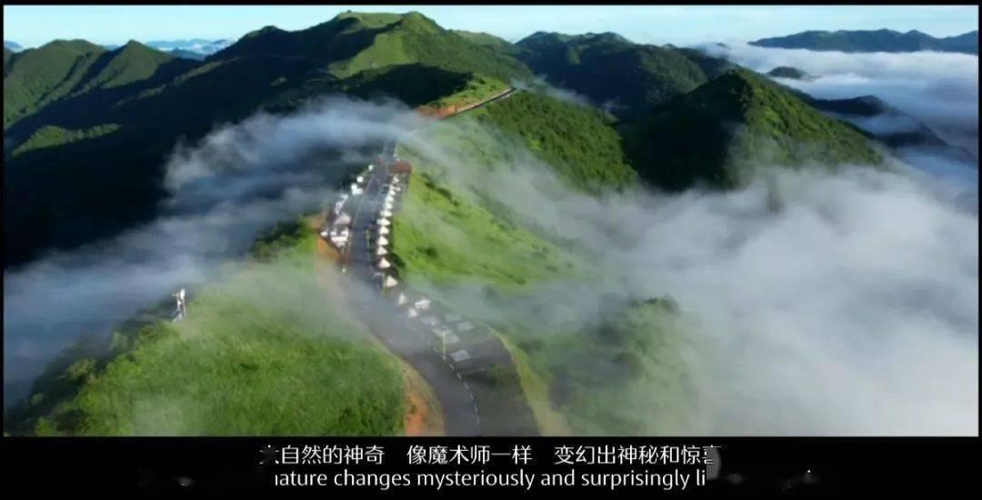 哈哈体育官网入口app